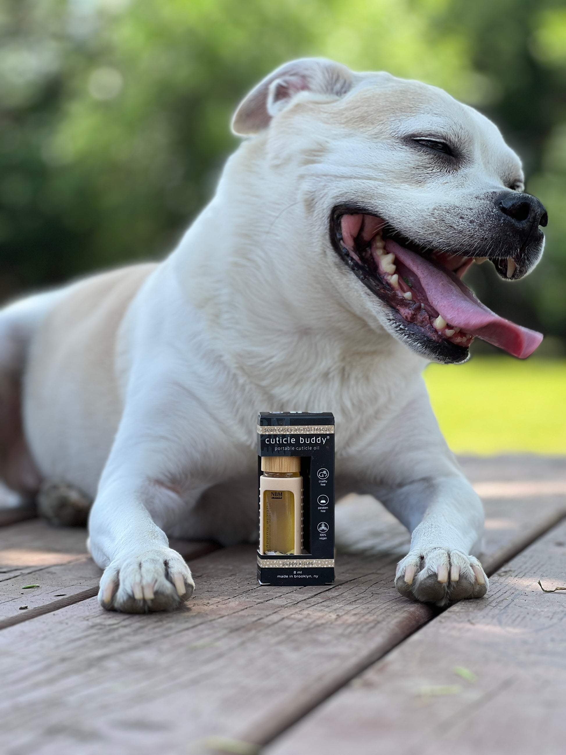 image of a happy smiling dog with his tongue out laying on a wooden table with the puppy kisses cuticle buddy in front of him in its packaging box between his paws
