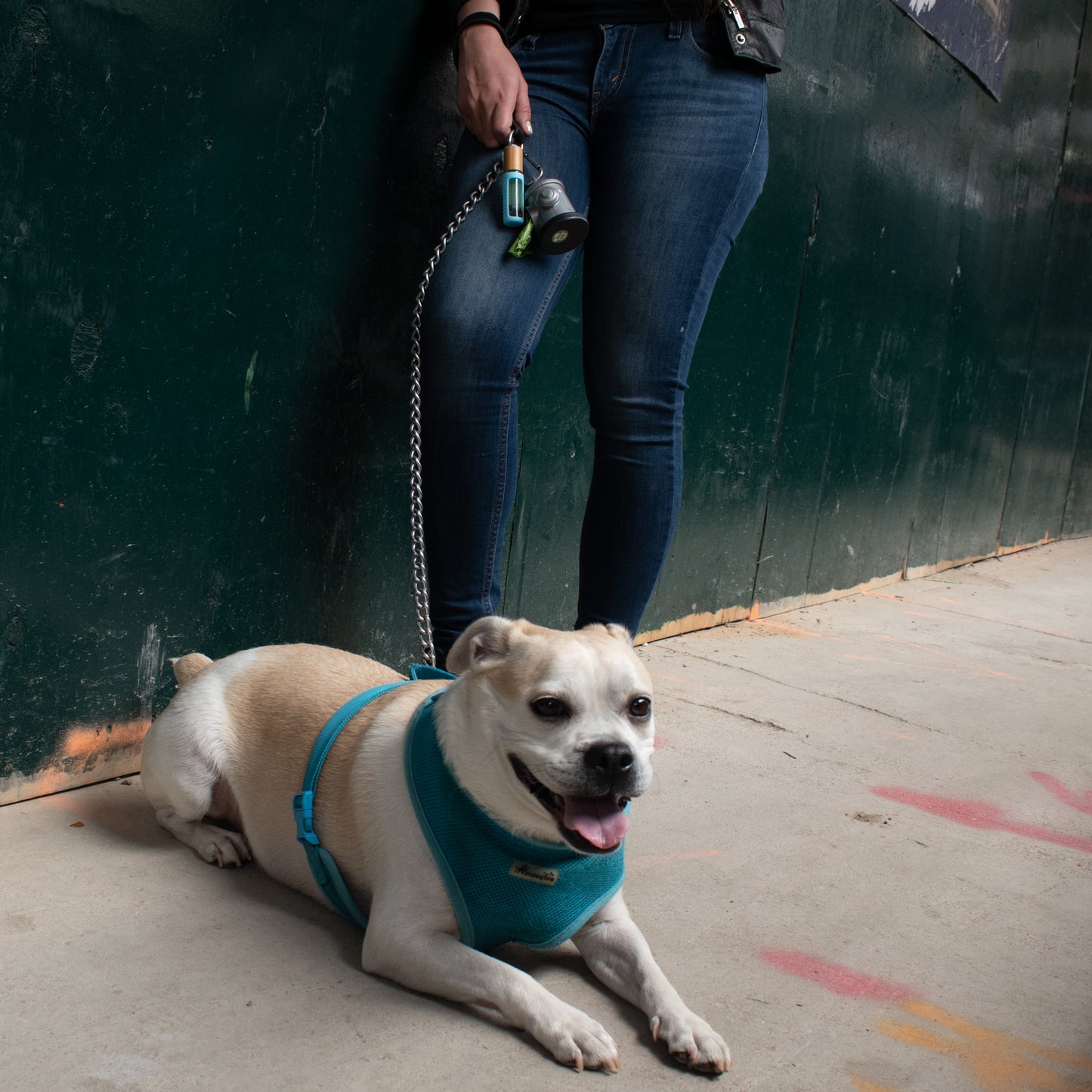 an image of a person with an offwhite dog on the leash laying down. there is a bottle of cuticle oil in a blue silicone holder hanging off the leash.